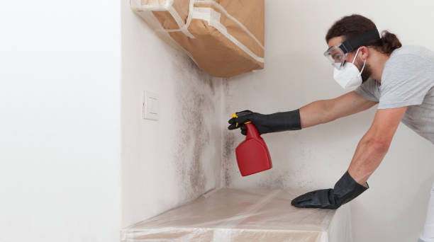 Professional Mold Removal technician working in Sand Lake, MI