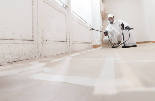 24/7 Emergency Mold Removal experts in Sand Lake, MI